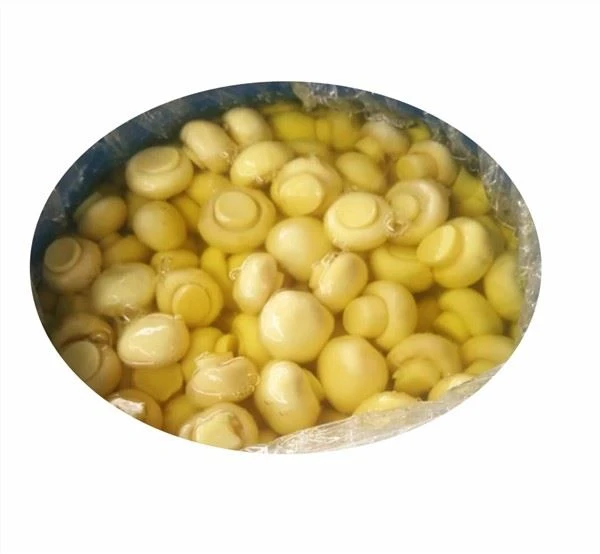 Braziliya uchun sho'r suvda Premium qo'ziqorin