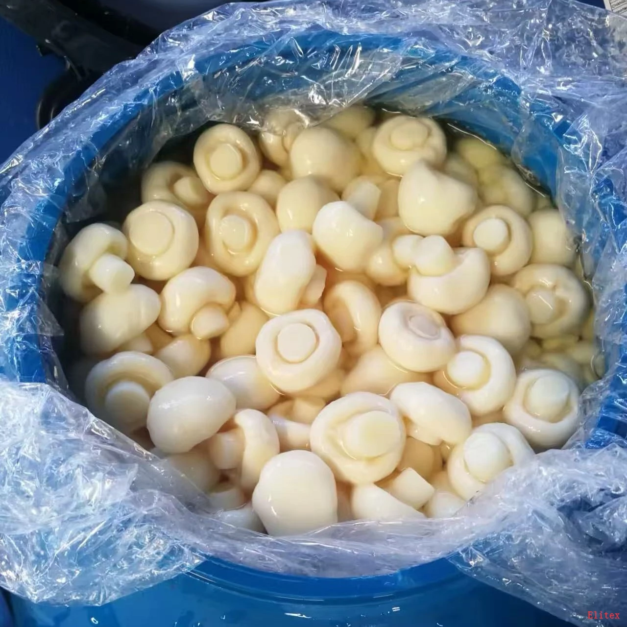 High Quality Drum Packed Brined Mushrooms factory